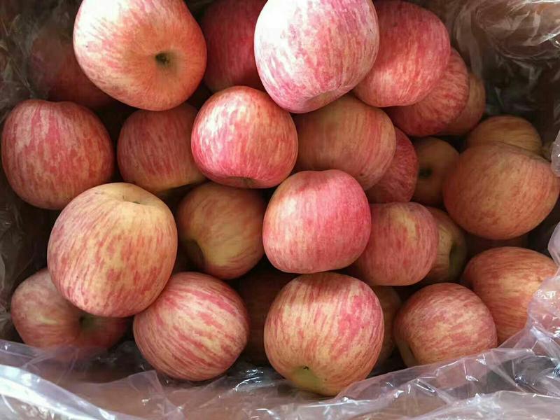 【红富士苹果】产地批发，条纹苹果全红苹果，水晶红富士苹果