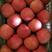 山东水晶红富士苹果产地直销，条红全红红富士苹果