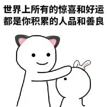 耐寒优秀西兰花0.8~1.5斤