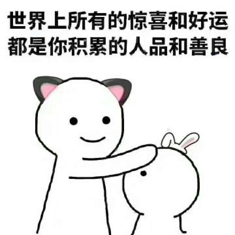 耐寒优秀西兰花0.8~1.5斤