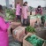 油麦菜30~35厘米以上有专业打包工人可提供打冷