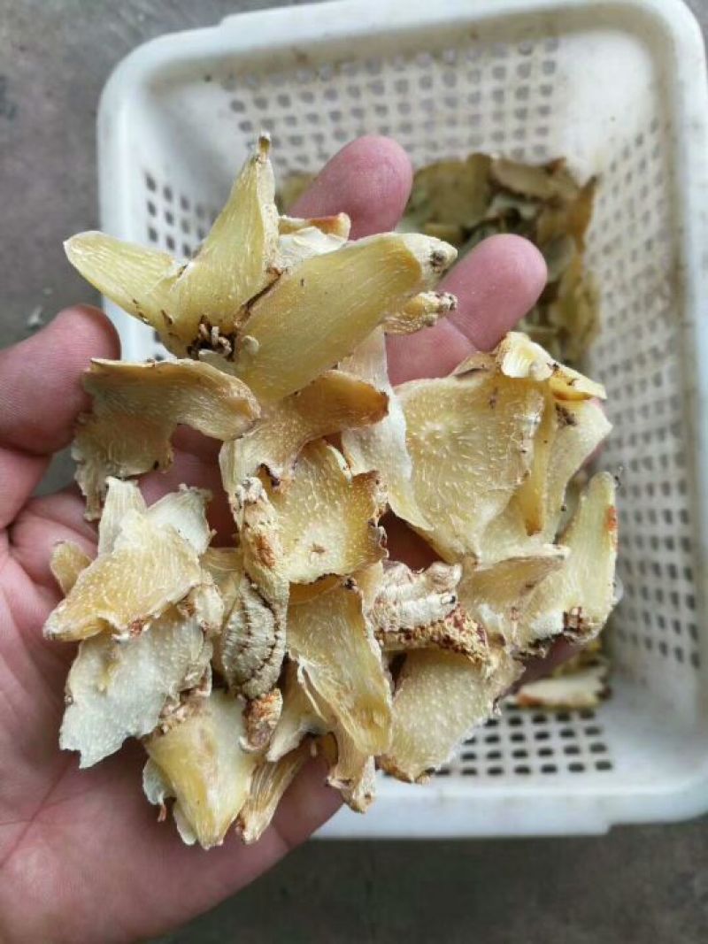 三叉白芨通货干货