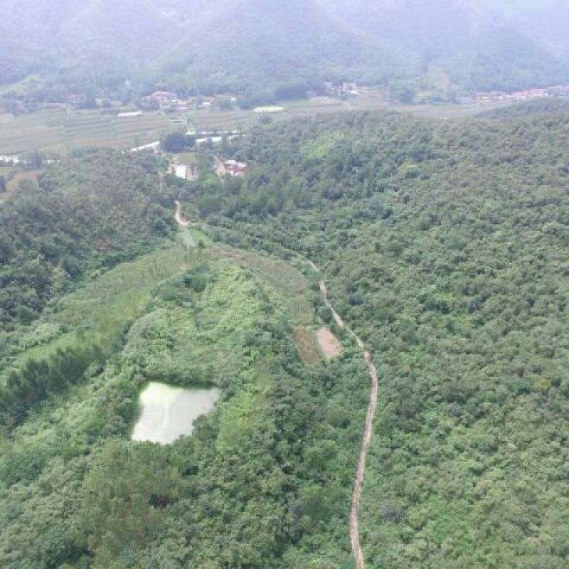 生态农业综合种养用地转让50年以上101~