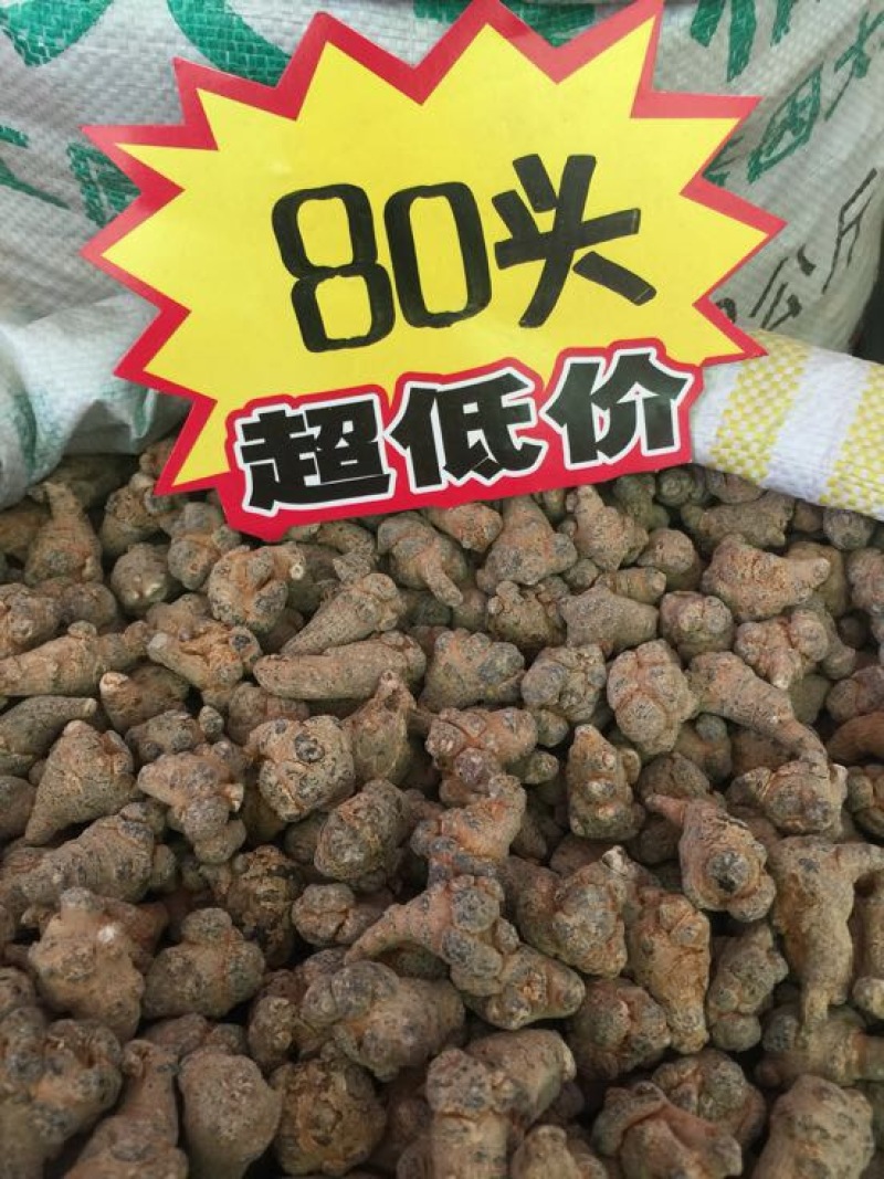三七干货选货60头