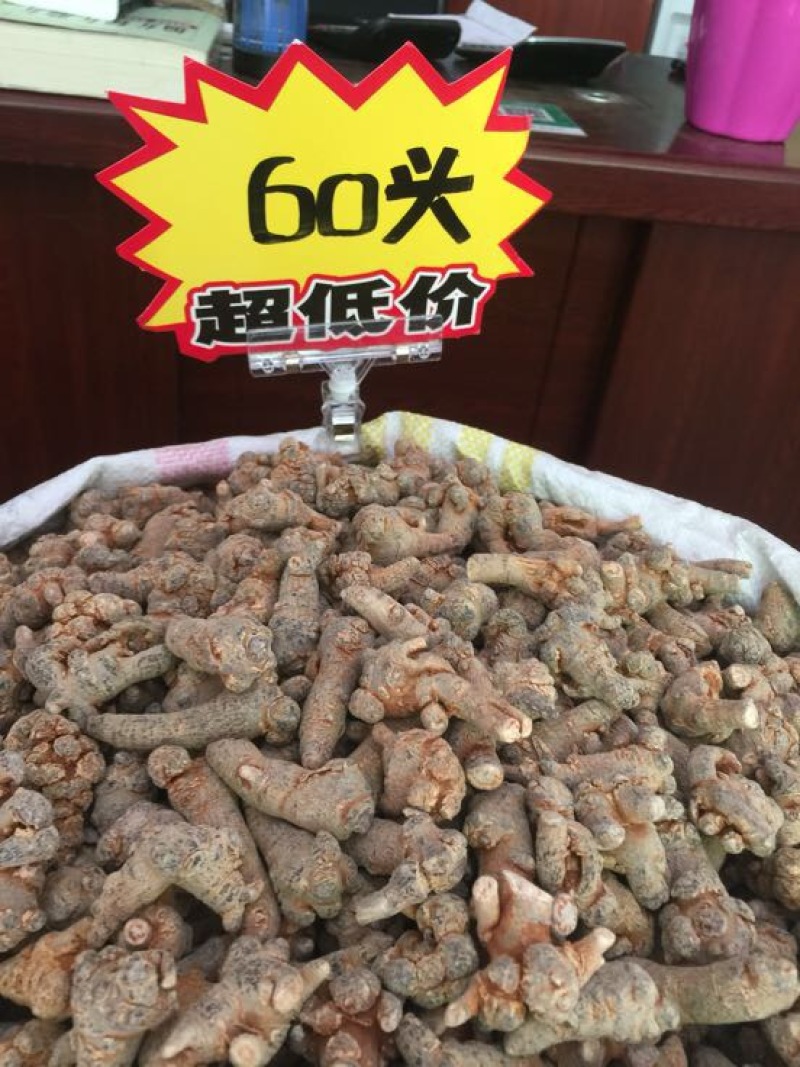 三七干货选货60头