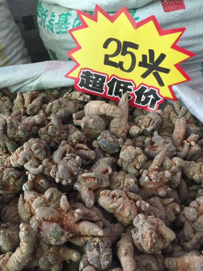 三七干货选货60头