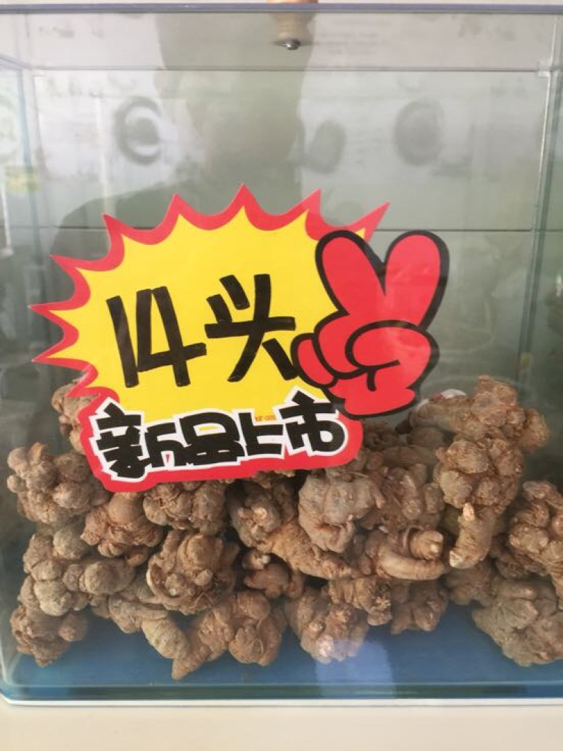 三七干货选货60头