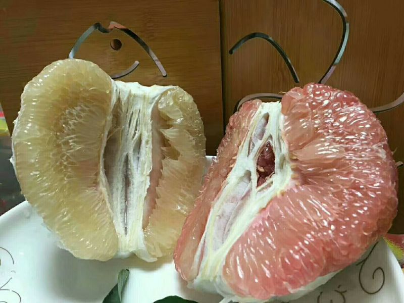 琯溪蜜柚2斤以上产地直销看货采摘保质保量