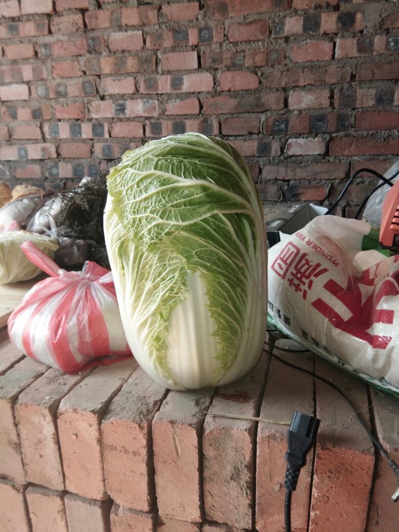 青杂三号白菜净菜3~5斤