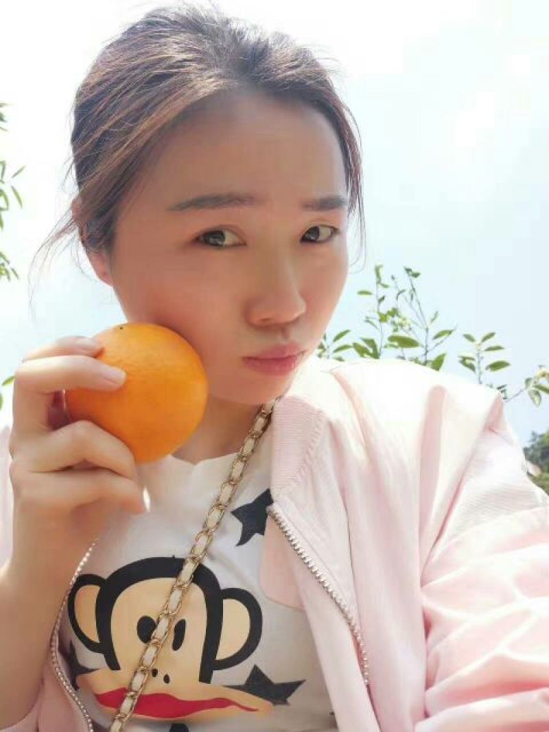 普通甜橙保质保量果园看货采摘欢迎订购