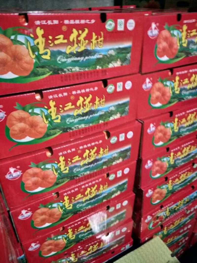 永春芦柑产地看货采摘，保质保量支持打款发货