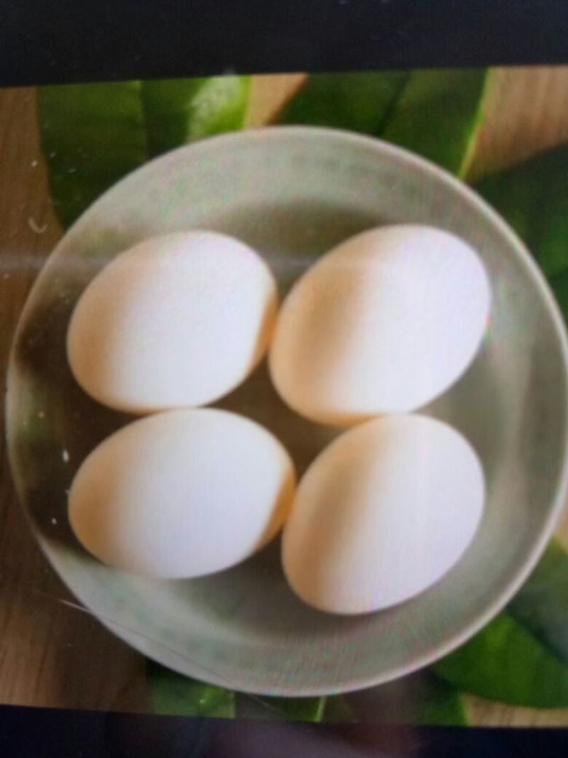 鸽蛋