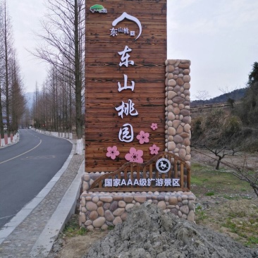 奉化水蜜桃55mm