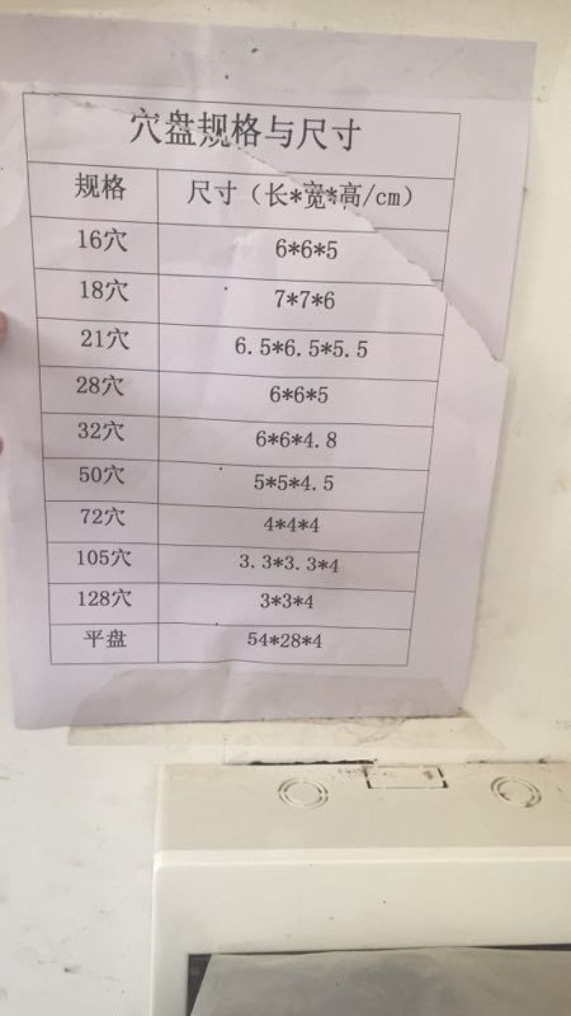 穴盆苗木多肉育苗盆种植盆穴盆芽菜蔬菜盆林业深穴盆秧盆