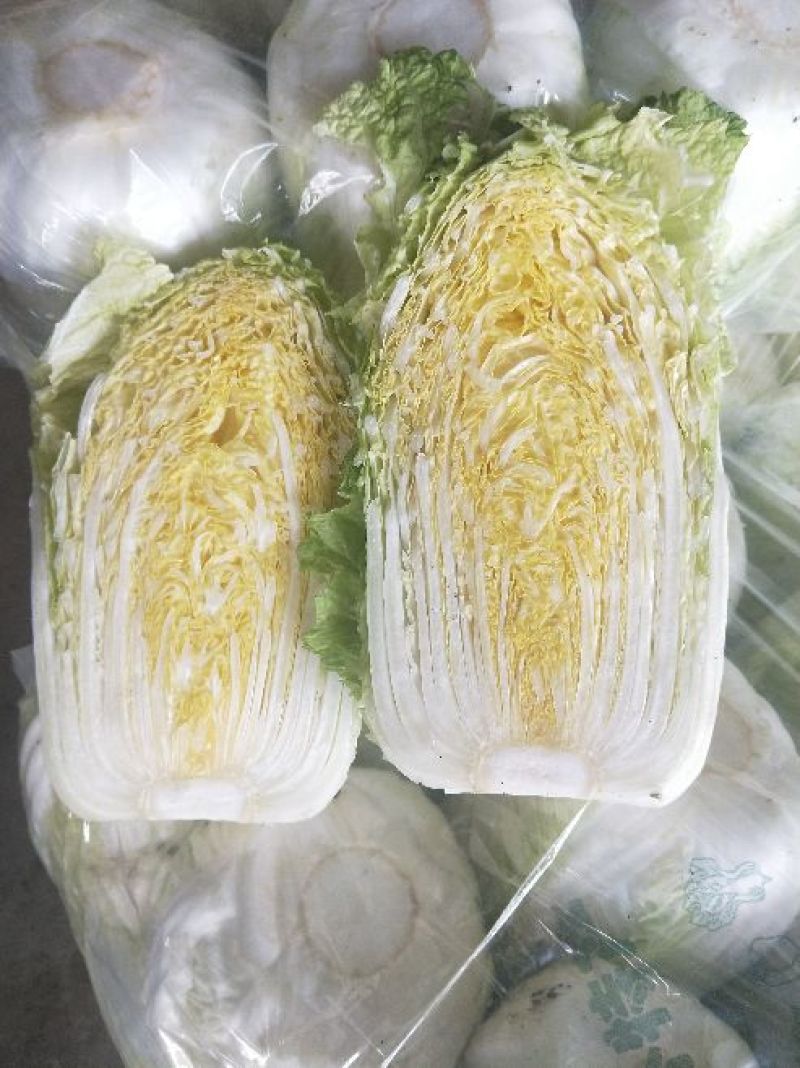 黄心白菜7斤以上毛菜