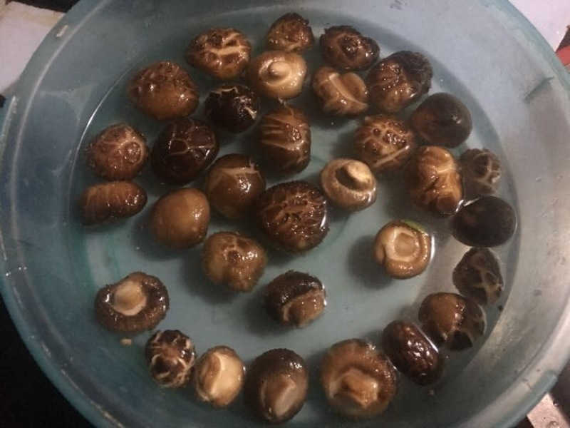 光面菇冬菇2.5厘米左右茶花菇