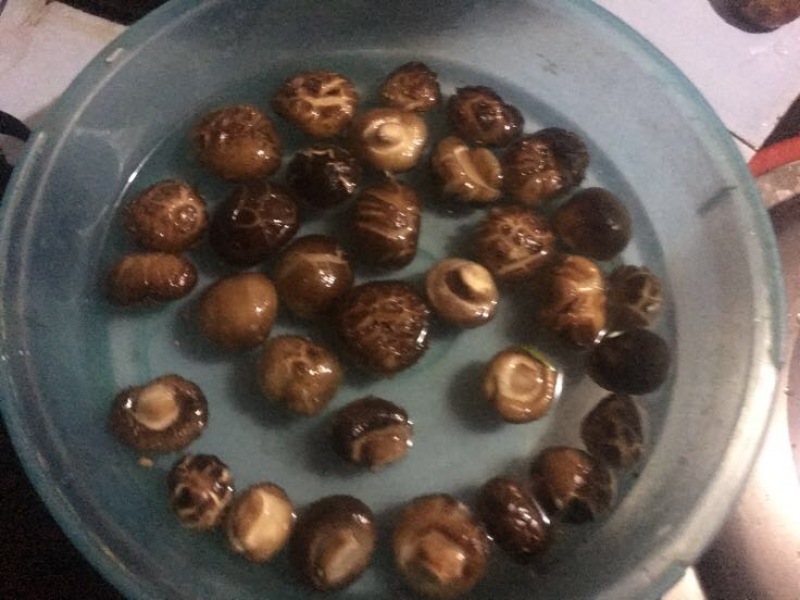 光面菇冬菇2.5厘米左右茶花菇