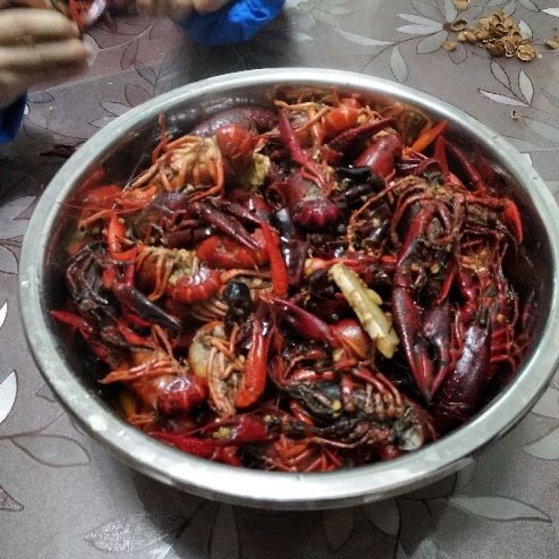 克氏原螯虾食用10-12钱（50-60克）活虾藕塘套