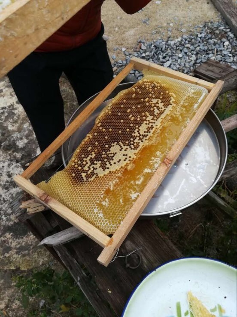 纯野生蜂蜜2斤装