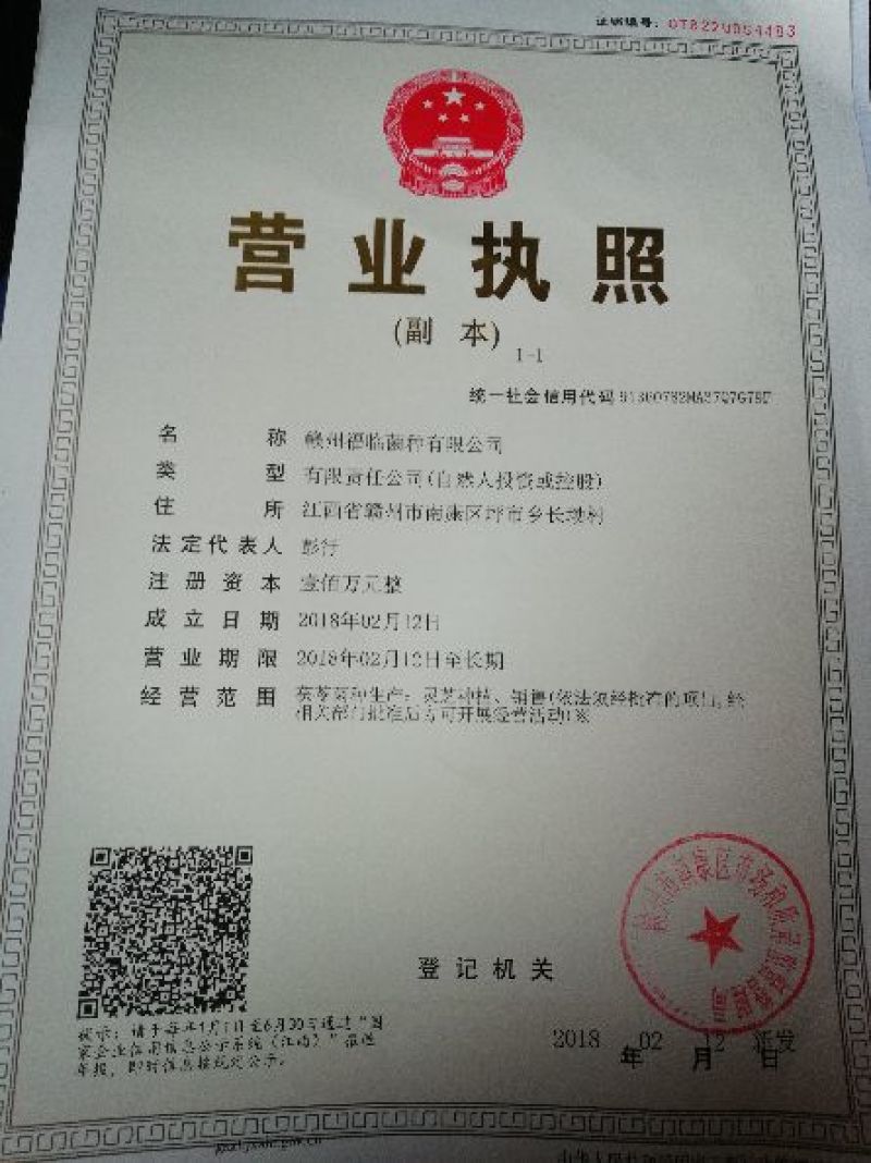 茯苓菌种栽培种