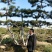 造型松10公分