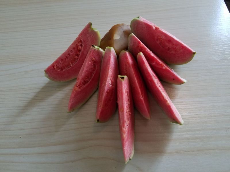 西瓜番石90~100mm红心大量有货欢迎老板来电