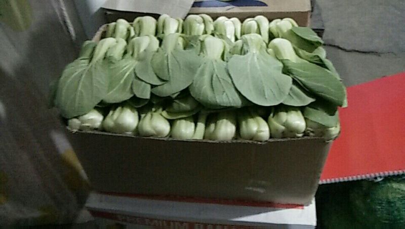 小油菜2两以上