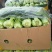 小油菜2两以上