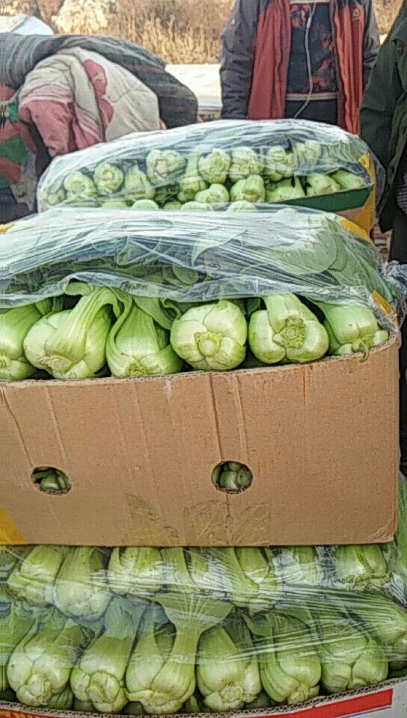 小油菜2两以上