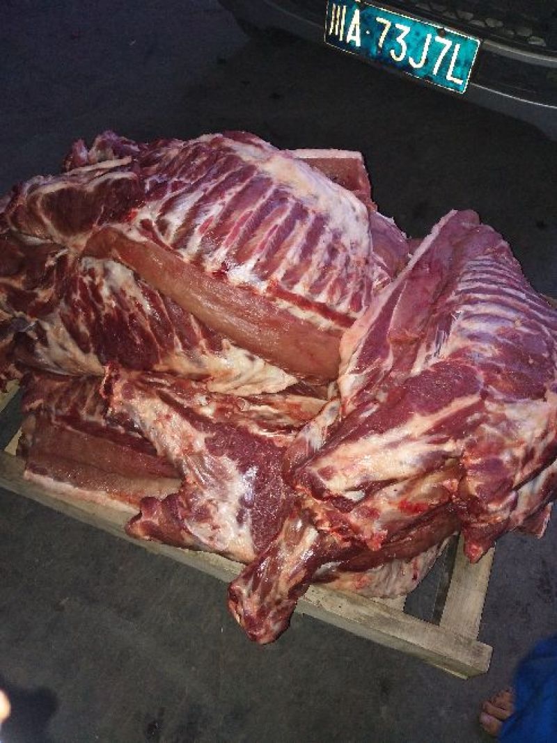【推荐】精品排骨视频看货诚信经营欢迎咨询