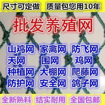 江苏宿迁沭渔网厂家现货质量好欢迎咨询采购