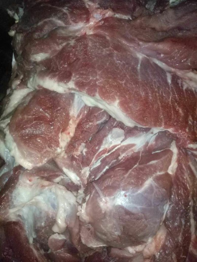 【推荐】精品排骨视频看货诚信经营欢迎咨询