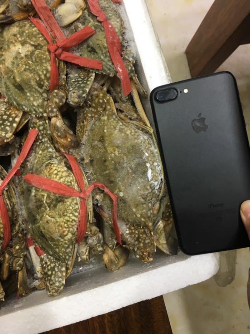 远海梭子蟹食用冻品