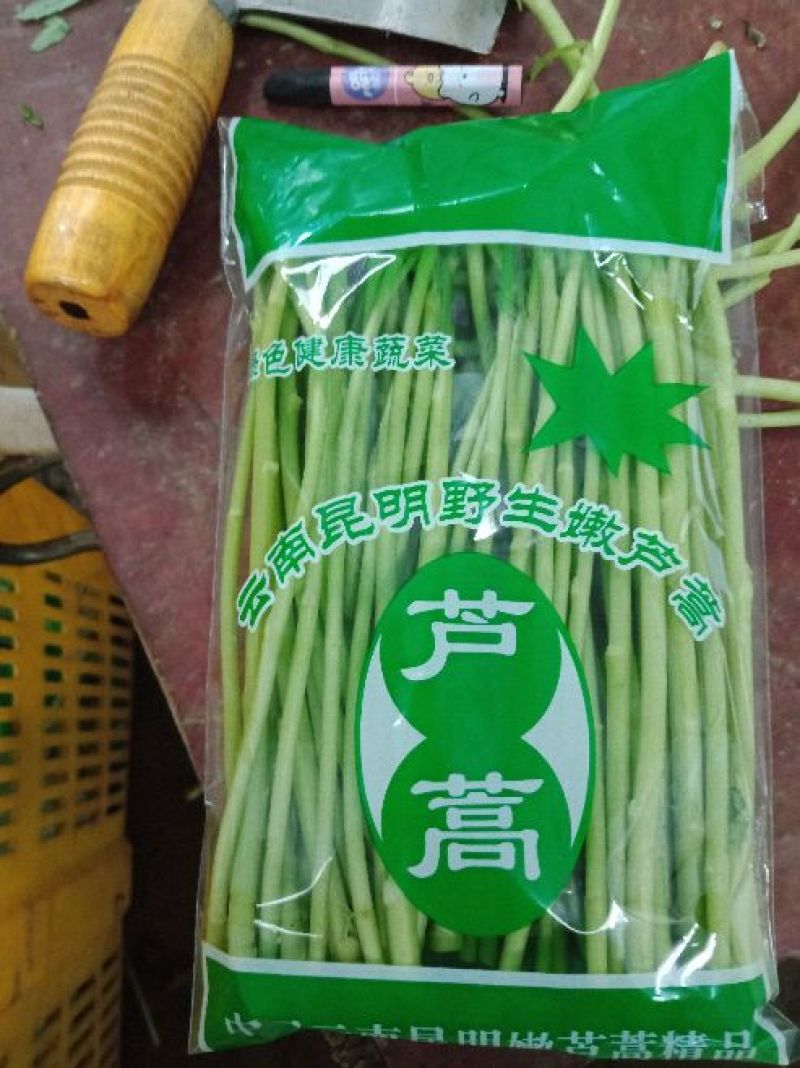 芦篙