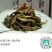 鹿茸菇特级