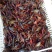 小龙虾种苗2-4钱（10-20克）活虾小龙虾主养