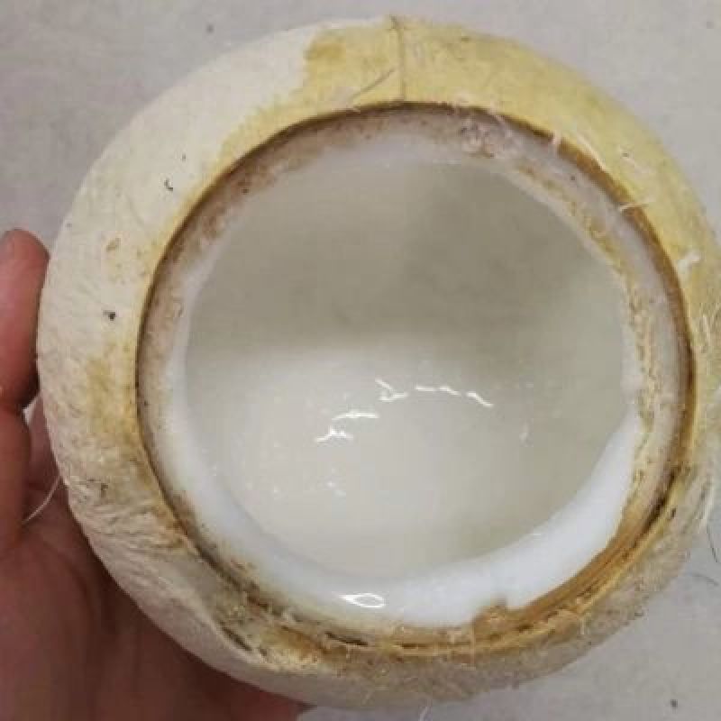 椰子椰子开口机