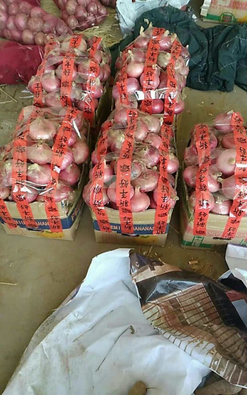 洋葱3~8厘米
