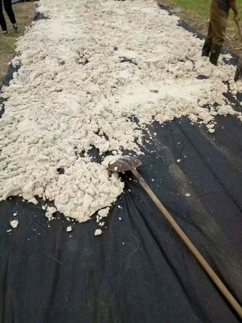 红薯淀粉袋装