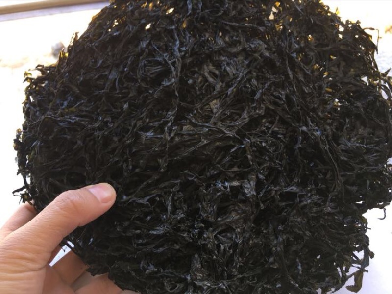 福建霞浦特级头水紫菜，细，亮，干净无沙，香脆