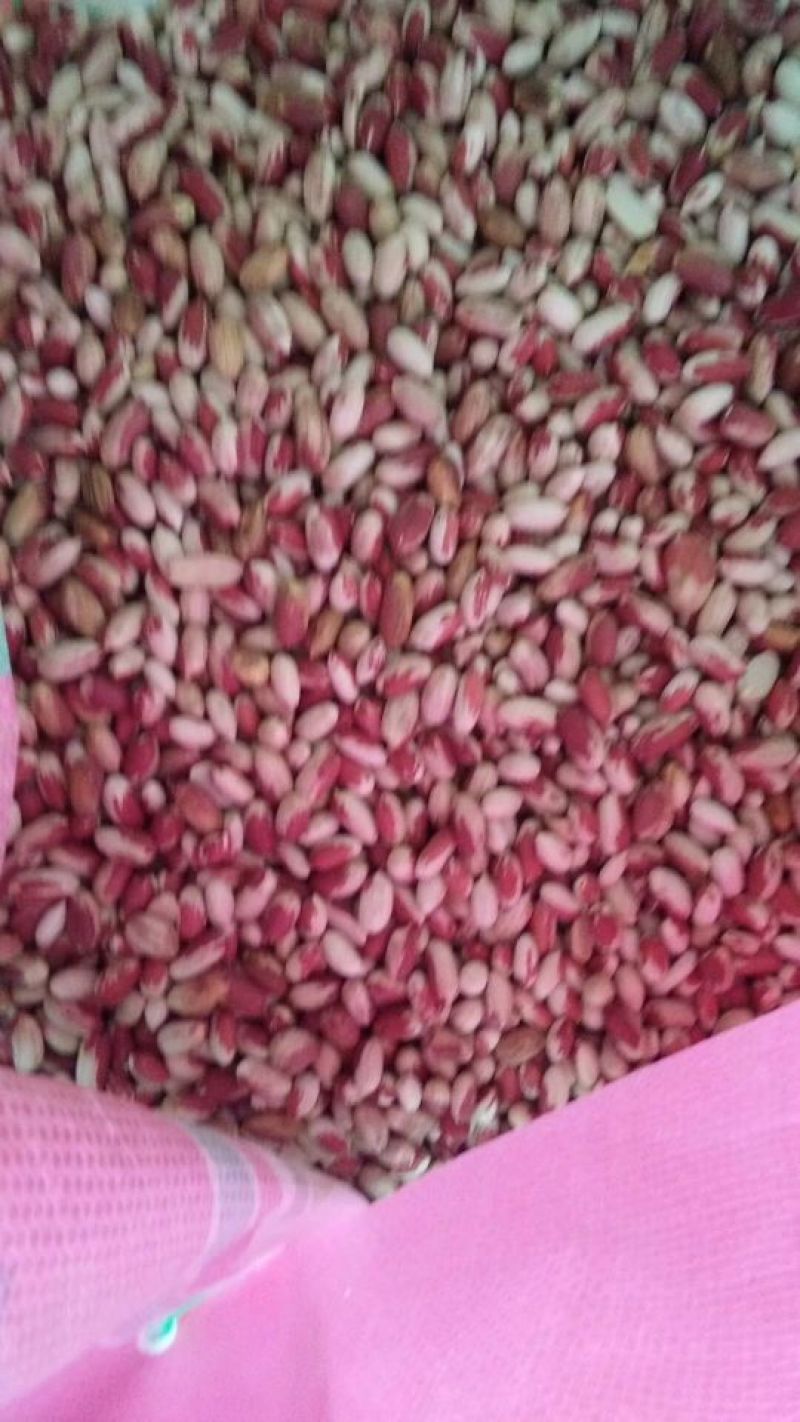 黑花生油自产自销，传统工艺，先进技术压榨油