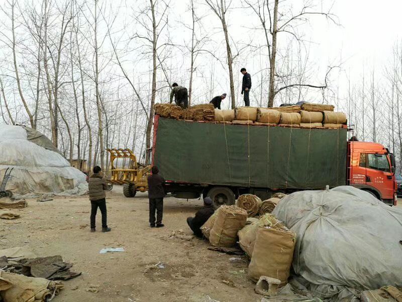麻袋批发包树麻袋卷麻袋片土豆麻袋粮食麻袋国标麻袋保温保