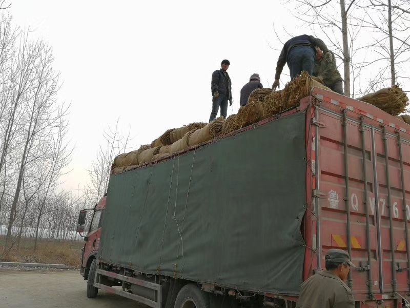 麻袋批发粮食麻袋辣椒麻袋咖啡豆麻袋