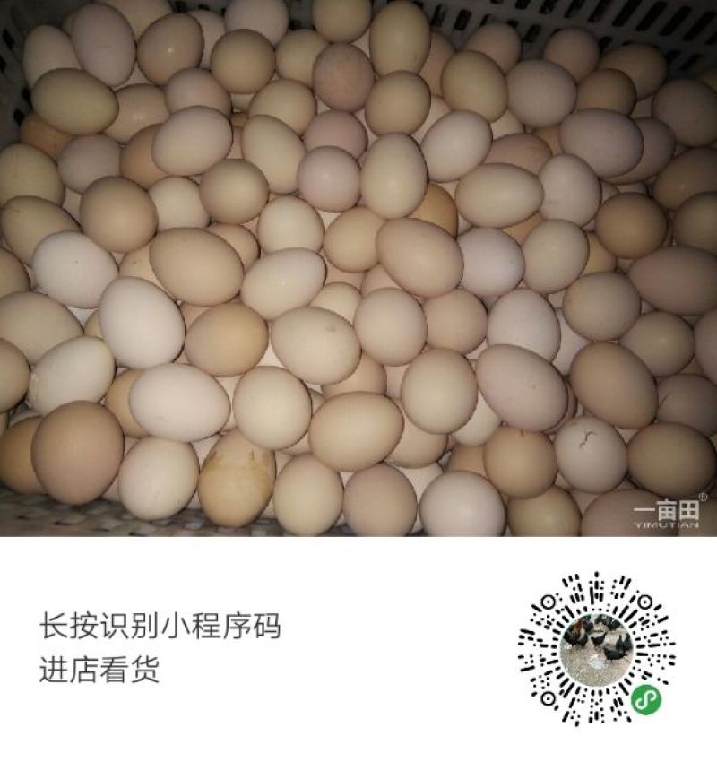 土鸡蛋食用50g以下