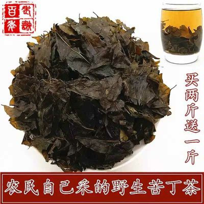 苦丁茶