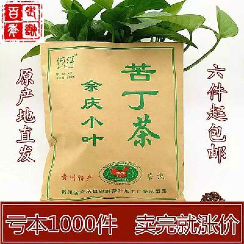 苦丁茶