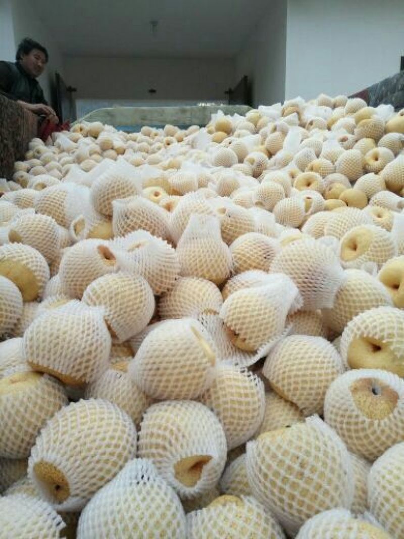 砀山梨甘甜汁多，色泽亮白，百年老树梨。果面干净品质更好