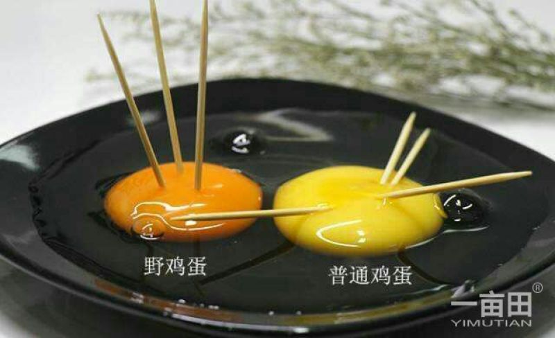 土鸡蛋50g以下食用
