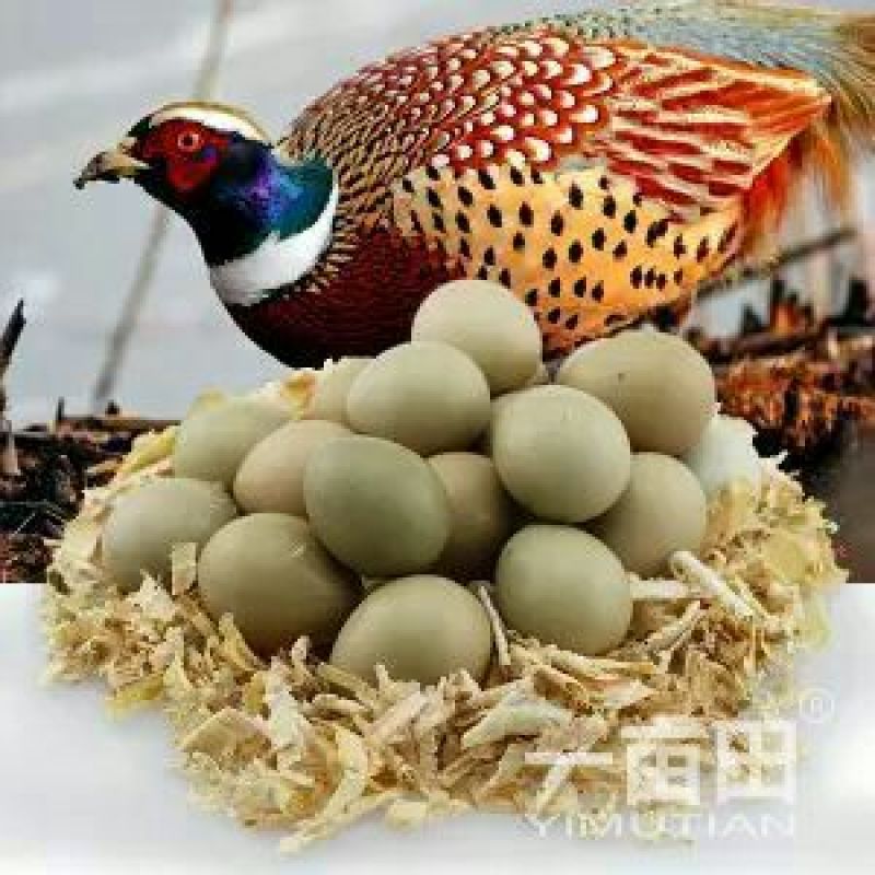 土鸡蛋50g以下食用