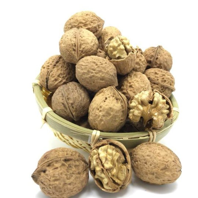 纸皮核桃去皮25~30mm干